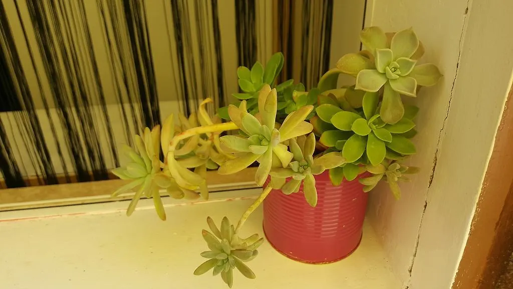 סלצה Laurus Apartmani